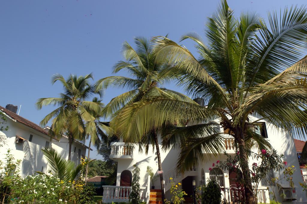 Colonia Santa Maria Hotel Baga Exterior photo